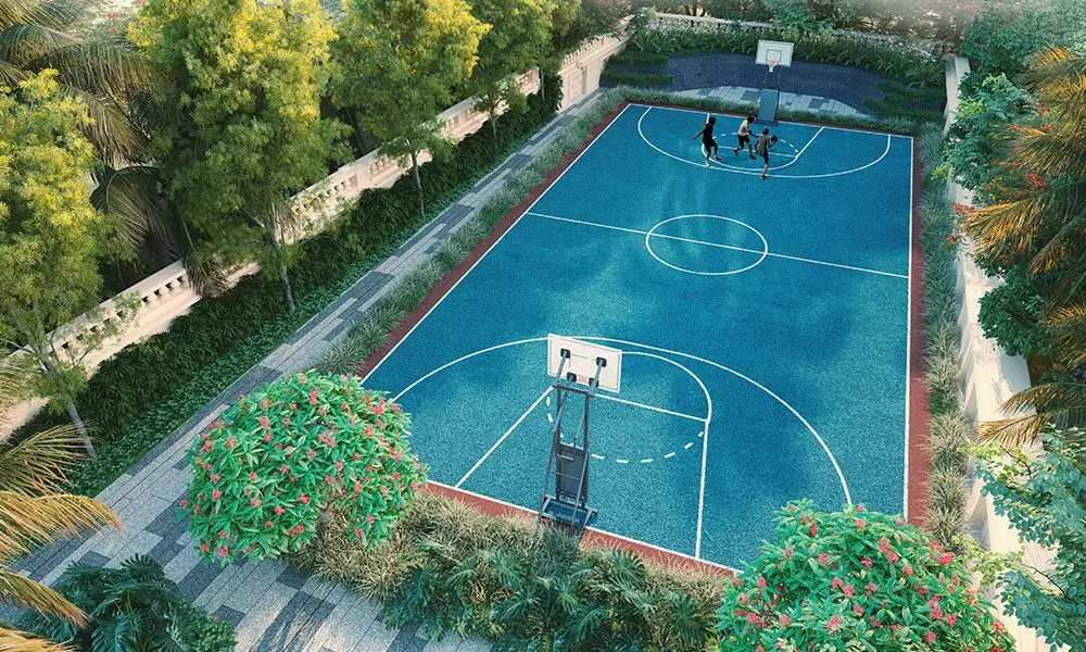 Basket Ball Court