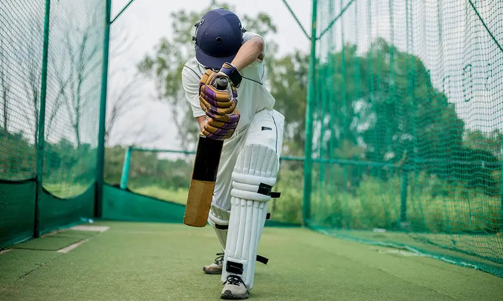 Cricket